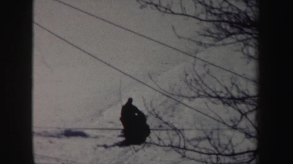 A distant bundled figure in a snowy New York landscape appears to pull or guide a sled with dogs near bare branches and power lines.