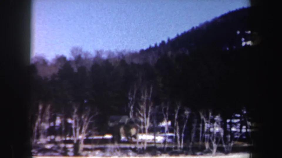 1962 New York winter landscape with bare trees, snow-covered ground, dark woods, and a low hillside under blue sky.