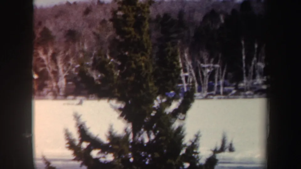 1962 New York 8mm frame with dark evergreen branches crossing a snowy frozen surface and leafless trees beyond.