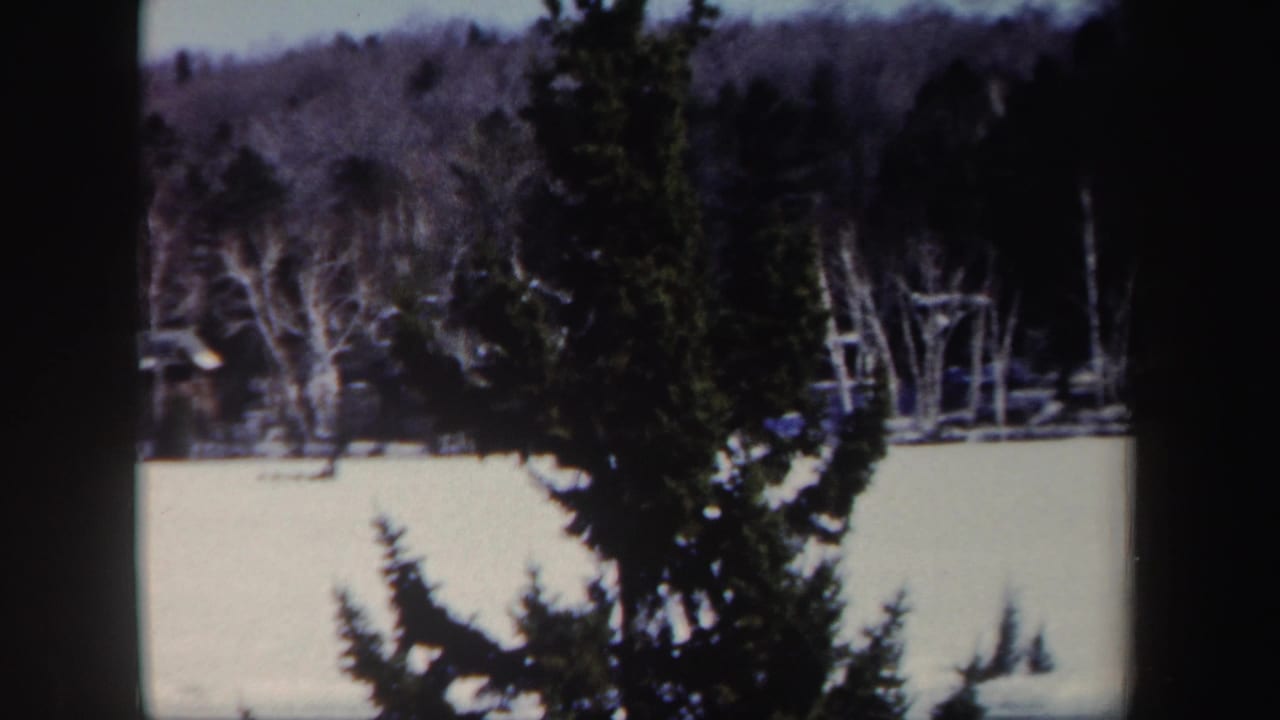 Snowy frozen lake behind dark evergreen branches and bare trees.