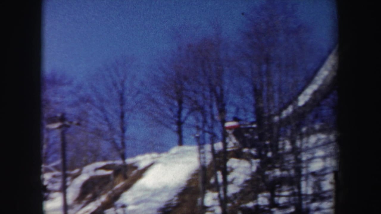 Snowy wooded hillside with a diagonal elevated structure partly visible at right.