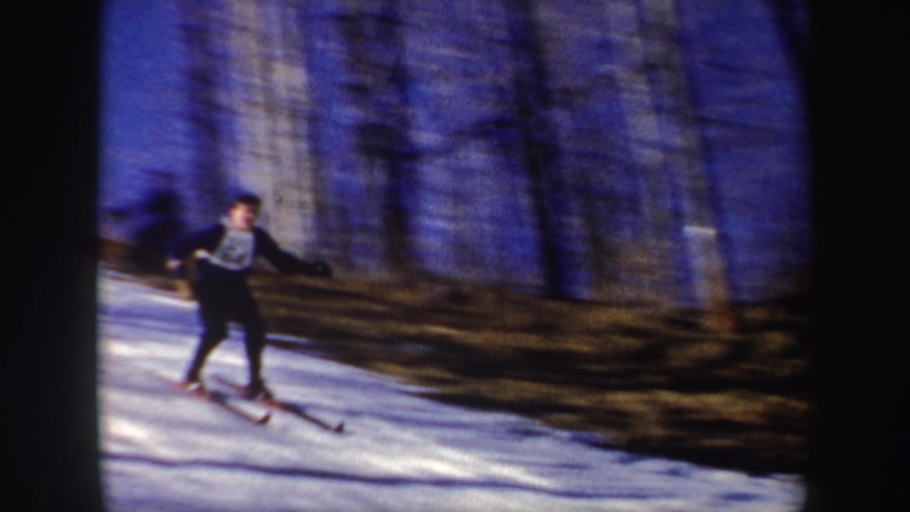 Skier in dark clothing moving downhill beside bare winter trees.