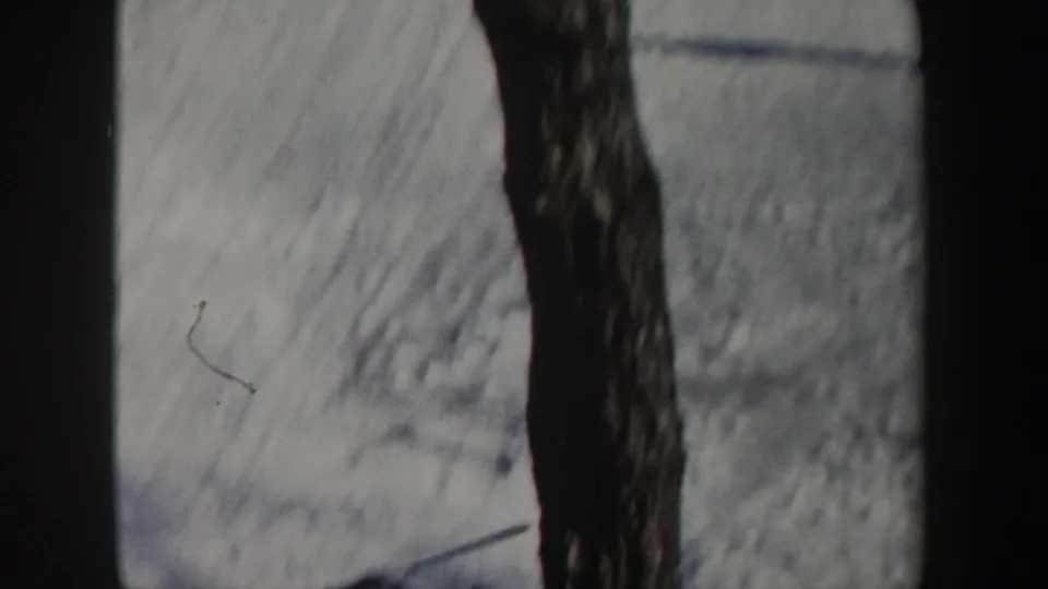 1962 New York 8mm frame of a snowy slope seen past a large dark tree trunk, with soft focus and visible film borders.
