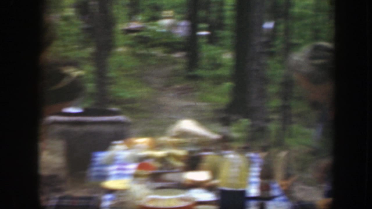 Soft, blurred 8mm frame of a picnic table set with dishes, bottles, and a thermos in a wooded Massachusetts park.