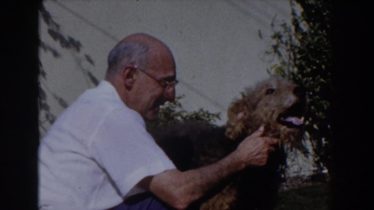 Older man in glasses pets a shaggy dog beside a sunlit backyard wall.
