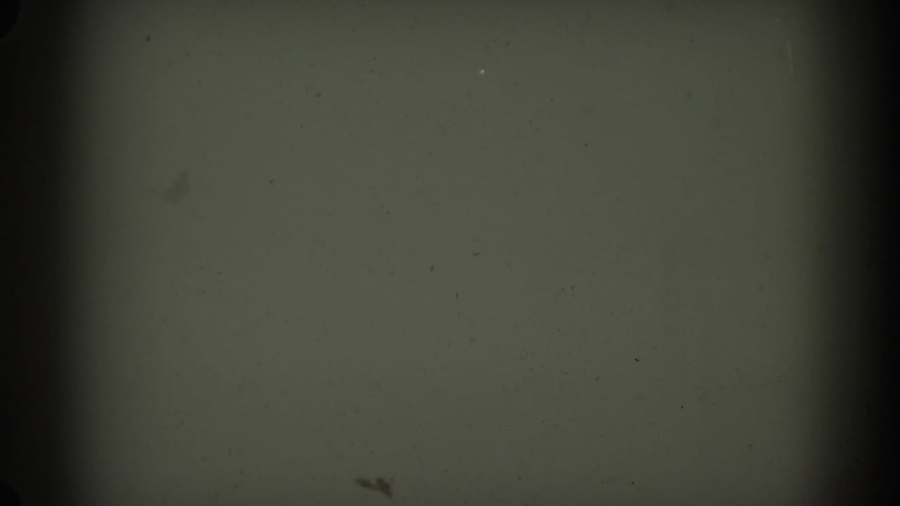 Dark gray-green film frame with vertical black bands, dust specks, and soft grain.