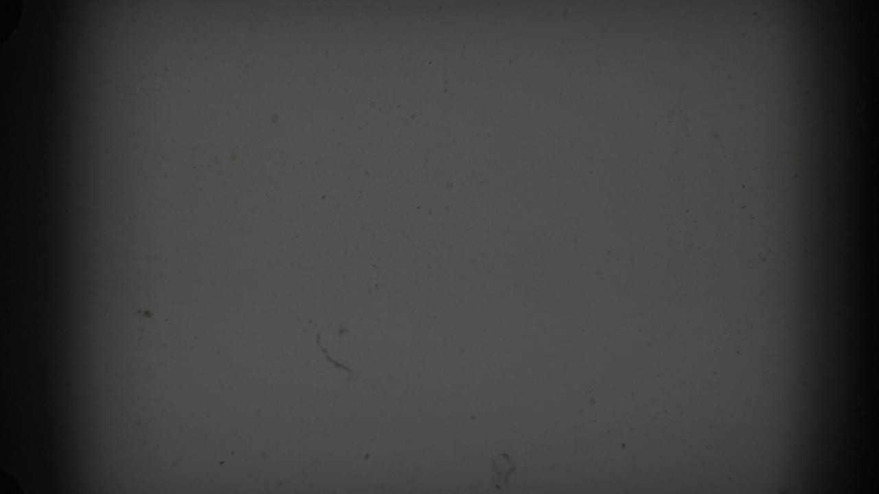 1962 Glendale 8mm source frame showing gray leader-like film with dark vignetting, dust, and a central vertical band.