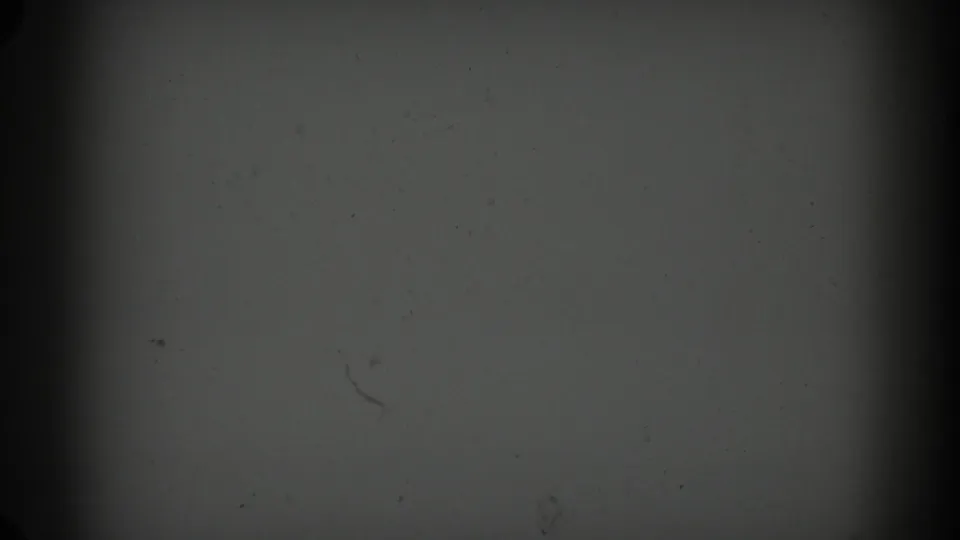 1962 Glendale 8mm source frame showing gray leader-like film with dark vignetting, dust, and a central vertical band.