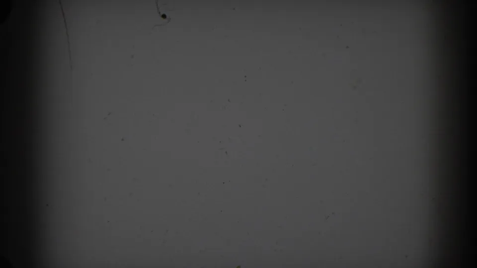 1962 Glendale 8mm source frame showing a blank gray leader area with dust, hairline scratches, and darkened film edges.