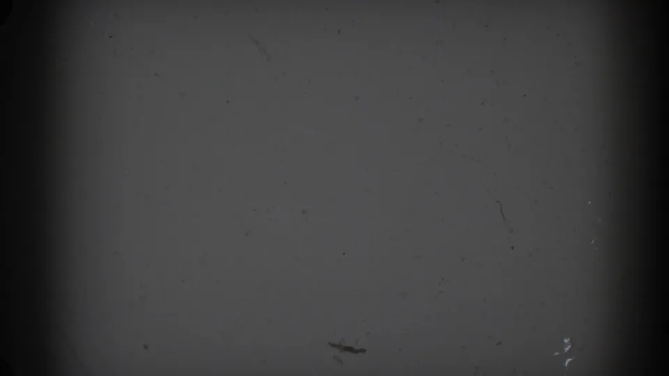 1962 Glendale 8mm frame showing a blank gray exposure field with heavy edge shadowing, dust, and surface scratches.