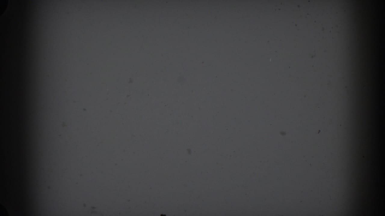 Dim pale surface with dark vignette, film dust, and a central vertical shadow.