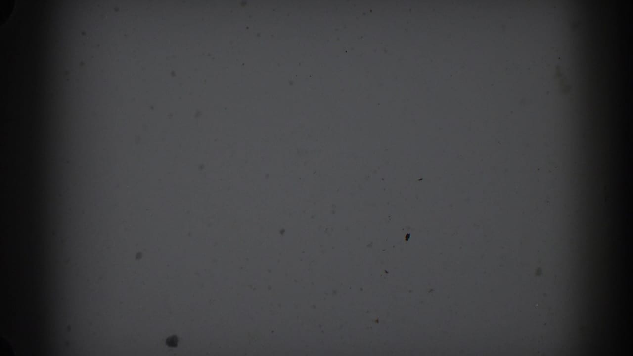 Darkened pale surface with faint marks, dust specks, and a vertical shadow band.
