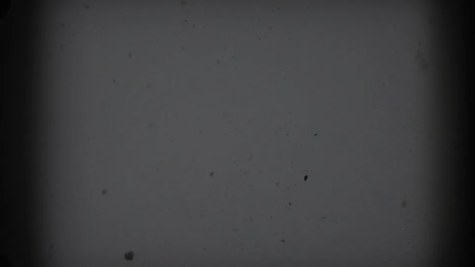 1962 Glendale 8mm frame with a pale surface, faint scattered marks, heavy grain, and a dark vertical band near the left side.