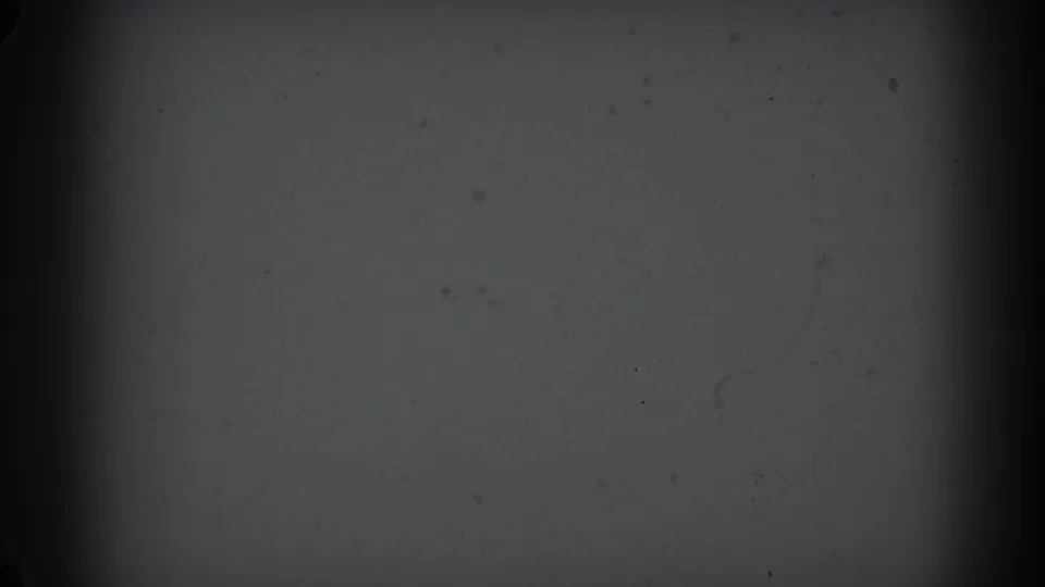 1962 Glendale 8mm frame showing a dim paper-like field with film specks, faint scratches, and a soft horizontal seam.