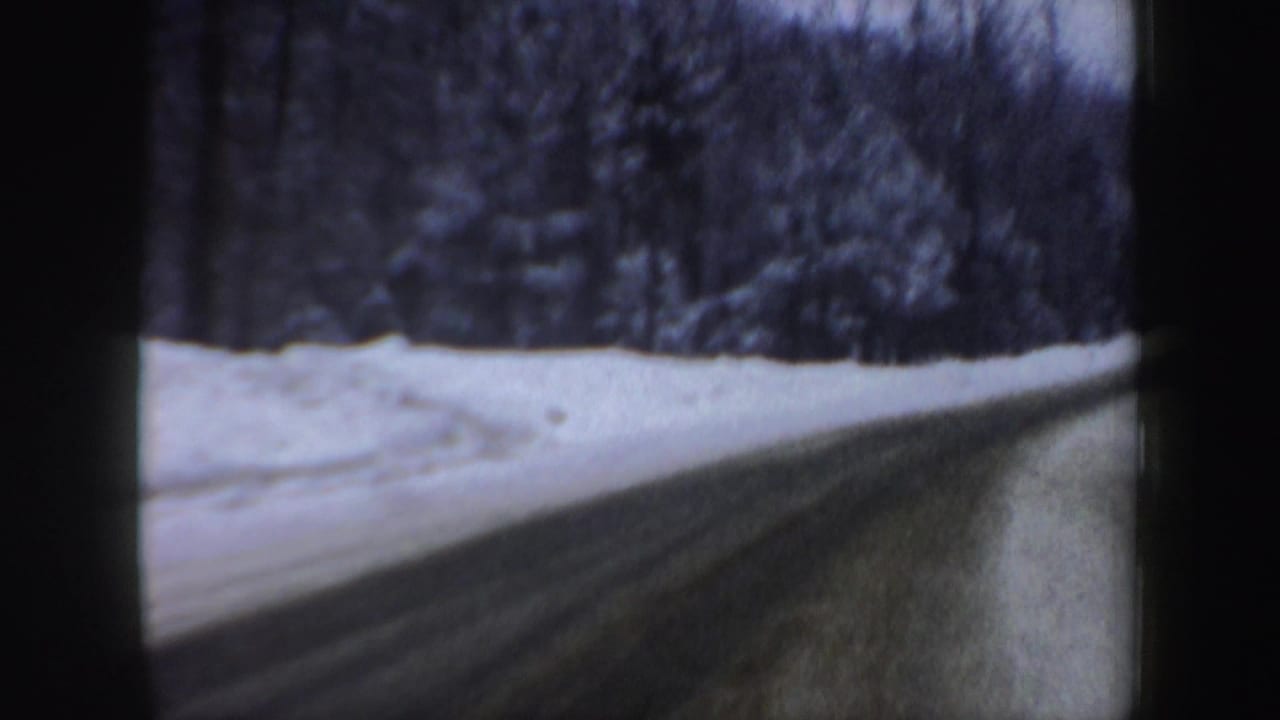 Wet winter road bending right beside snowbanks and dense trees.