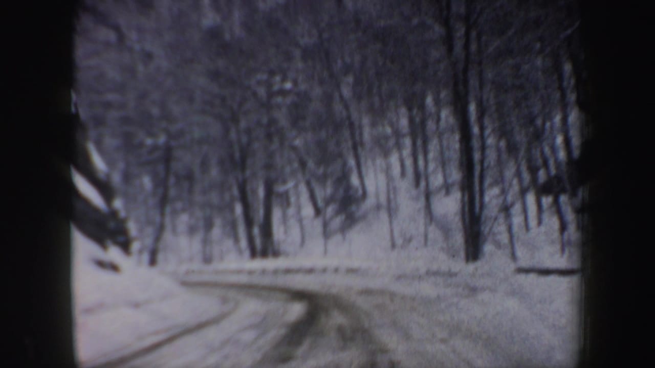 Snow-covered road curves through a bare winter forest, seen from inside a vehicle.