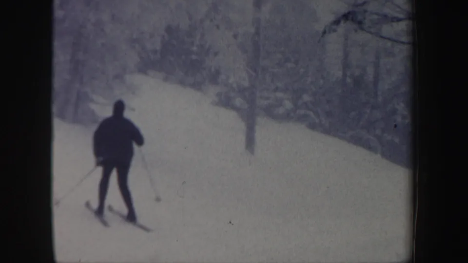 A skier seen from behind uses poles on a quiet snowy New Hampshire slope bordered by winter pine trees.