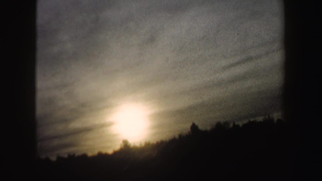 Bright sunset or sunrise over a silhouetted snowy treeline.