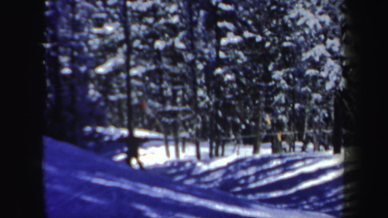Snowy forest trail with trees and blue shadows, no close subject visible.