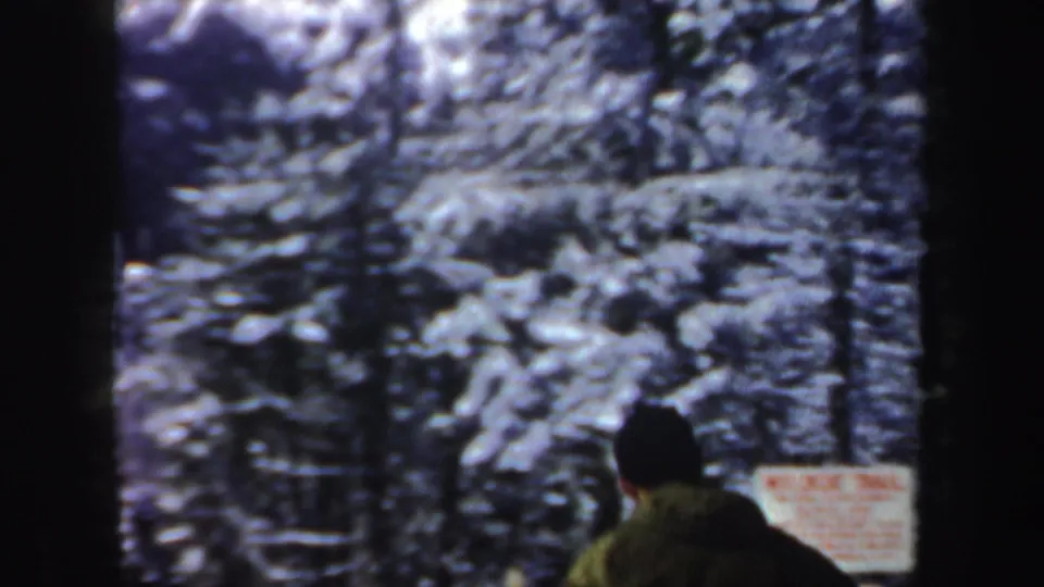 A skier in darker winter clothing is filmed from behind on a snowy New Hampshire trail near a readable Wildcat Trail sign.