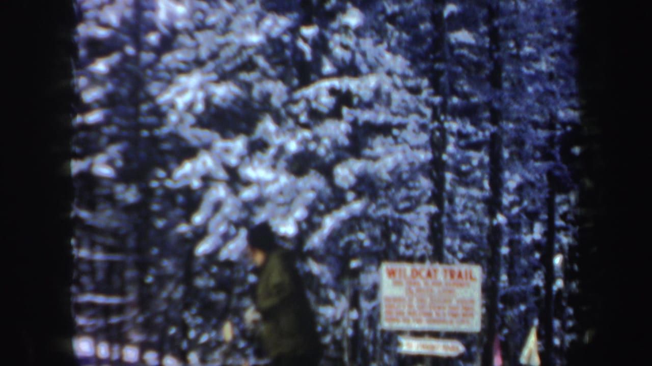 Skier in dark clothing moves beside a trail sign in snowy woods.