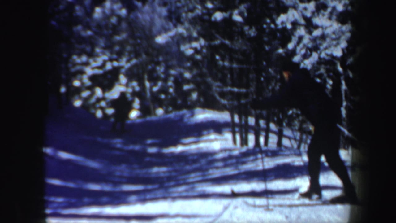 A skier moves through a snowy wooded trail with dark tree trunks in the foreground.