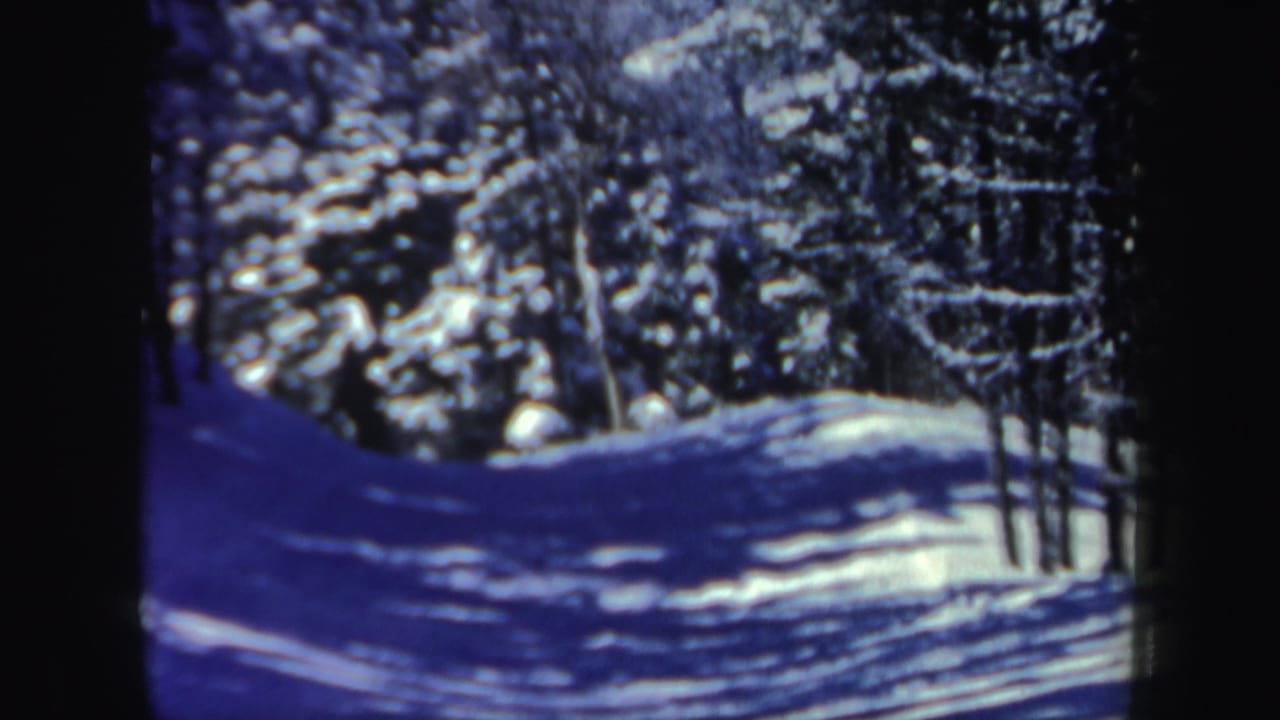1962 New Hampshire 8mm frame showing a quiet snowy forest trail lined with snow-covered evergreens.