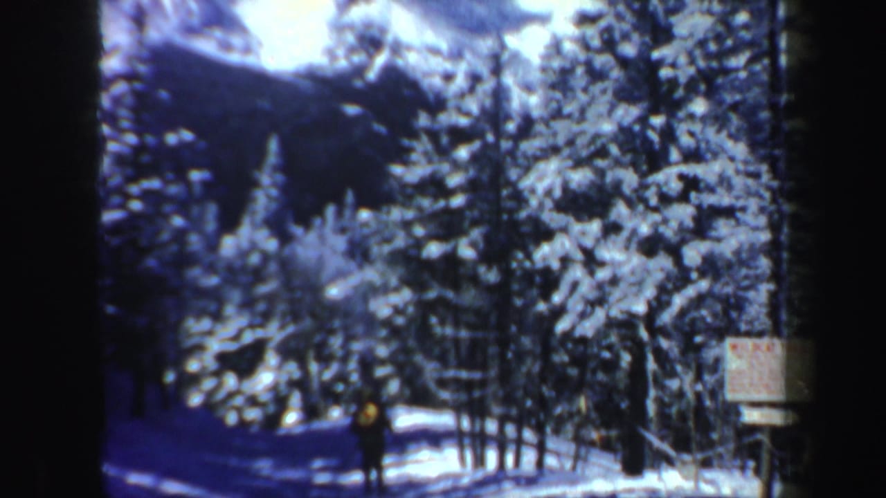 A lone skier stands or moves along a snowy forest trail in 1962 New Hampshire home-movie footage.