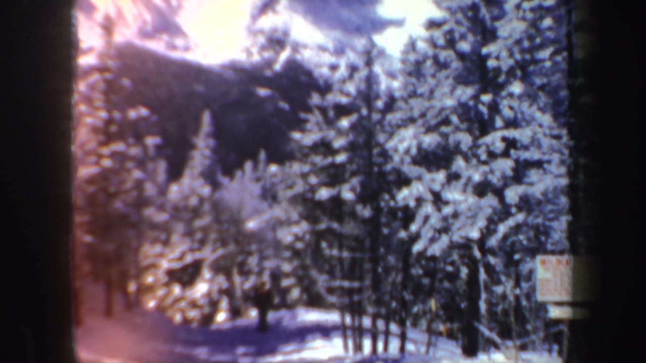 Late-frame 8mm view of a distant skier in a snowy New Hampshire forest with visible grain and warm color shift.