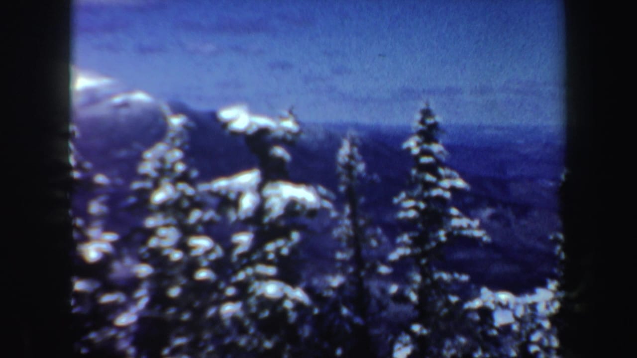 Snow-covered evergreen trees in front of distant blue mountain ridges and sky.