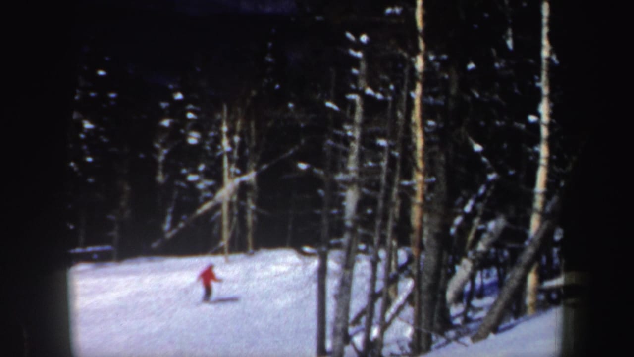 Distant skier in a red jacket on a snowy wooded slope.