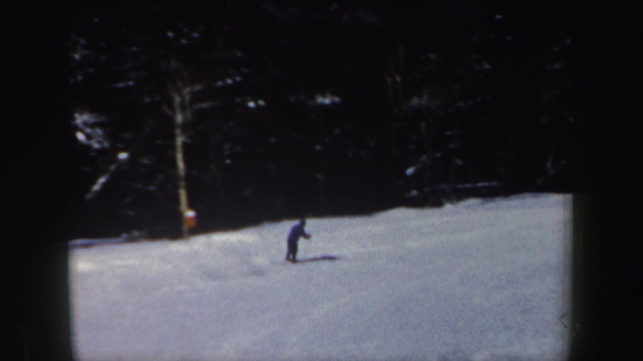 A distant skier stands or glides on a snowy slope bordered by dark woods.