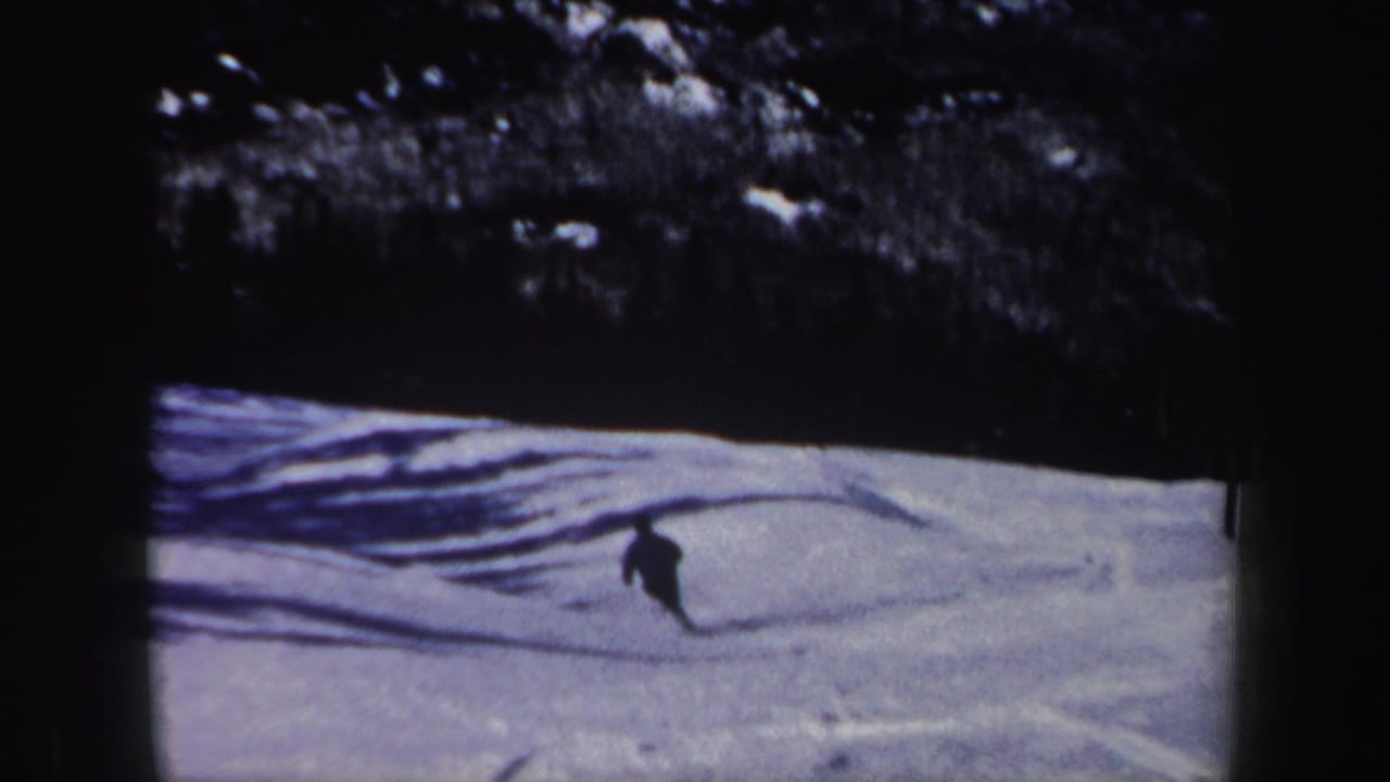 Distant skier in dark clothing descends a sunlit snowy slope bordered by dark trees.