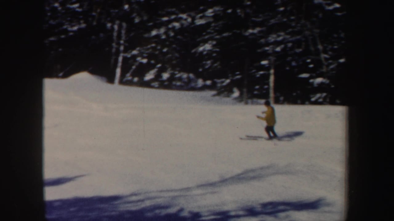 Skier in a yellow jacket crosses a snowy slope near dark evergreen trees.