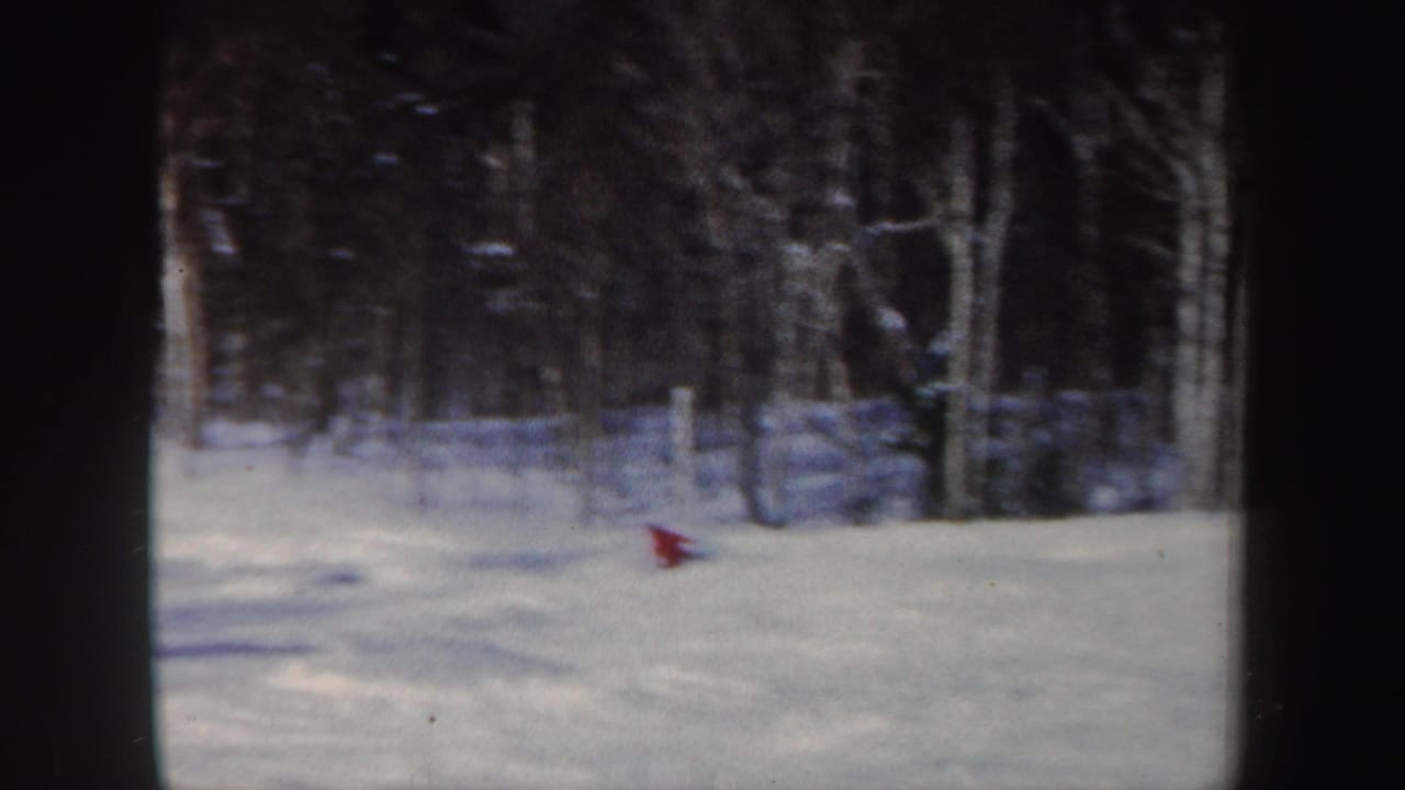 1962 New Hampshire home-movie frame of a red-clad skier moving downhill across a snow-covered wooded slope.