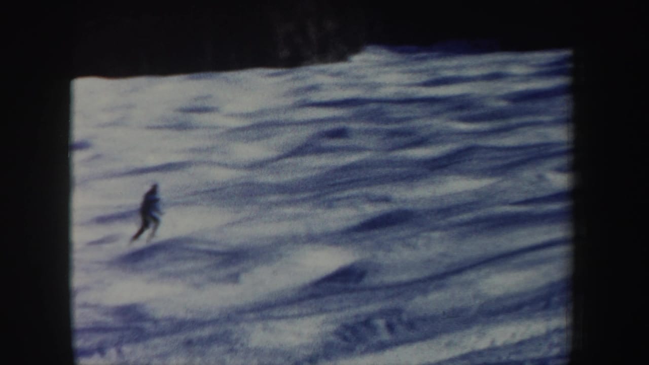 The skier appears low in frame on a broad snowy hillside, with the dark forest edge marking the upper background.