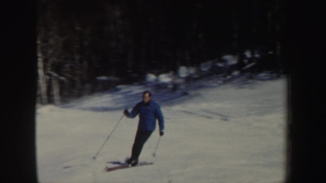 Adult skier in a blue jacket gliding across a snowy slope near bare trees.