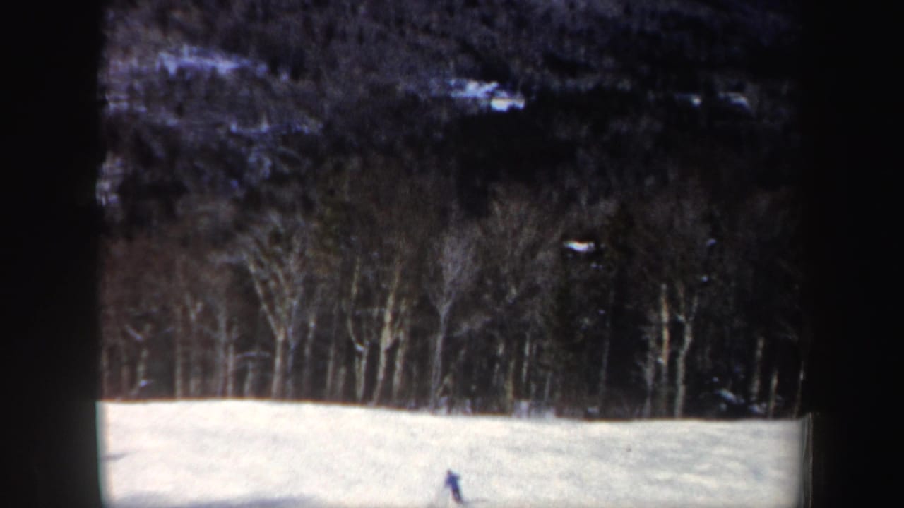 The skier is nearly at the bottom of the frame, still visible against the pale snow and dark winter woods.