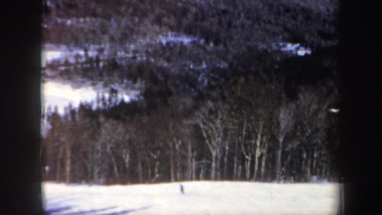 The lone skier remains near the bottom of the frame, dwarfed by snow, trees, and distant winter woods.