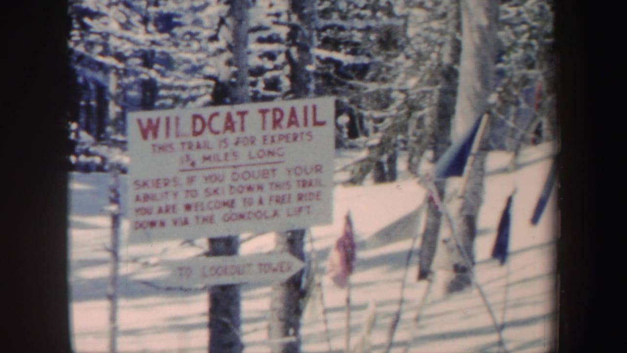 Wildcat Trail warning sign in a snowy forest with colored flags nearby.