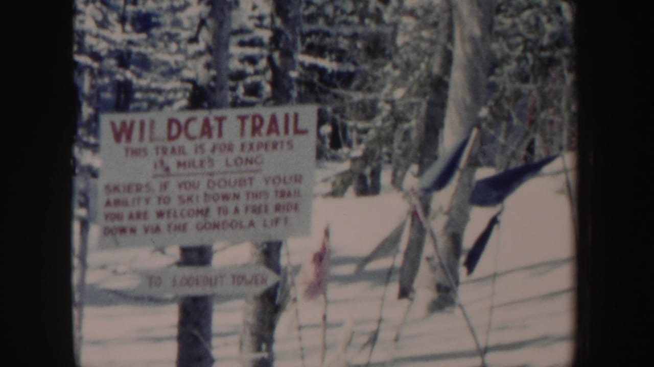 Wildcat Trail warning sign in snow with trees and fencing behind it.