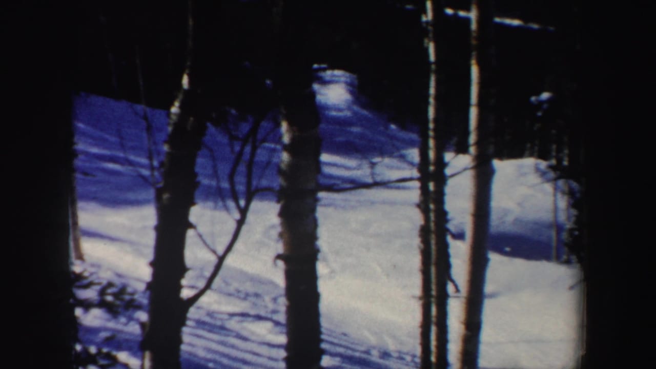 The final frame shows the wooded New Hampshire snow slope and trees after the skier has moved out of clear view.