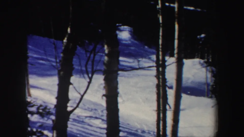 The final frame shows the wooded New Hampshire snow slope and trees after the skier has moved out of clear view.