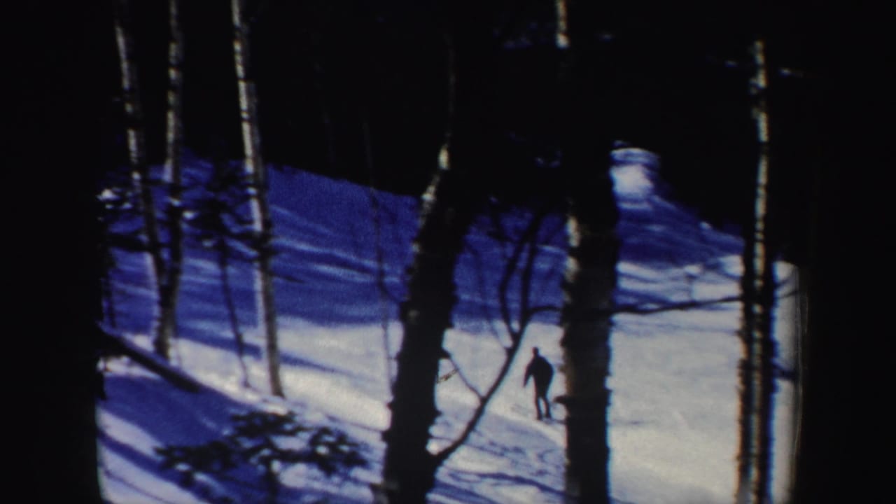 A distant skier descends a snowy wooded slope between dark tree trunks.