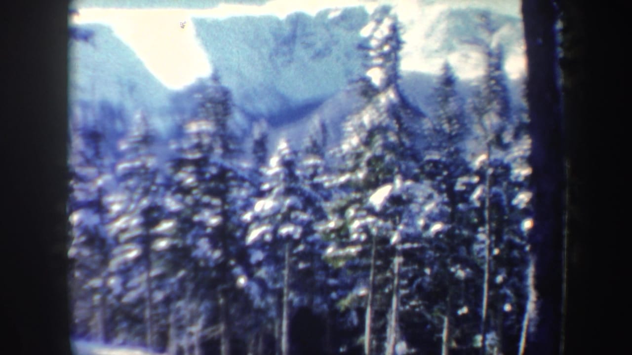 1962 New Hampshire 8mm frame looking past snowy evergreens toward soft mountain shapes in a bright winter landscape.