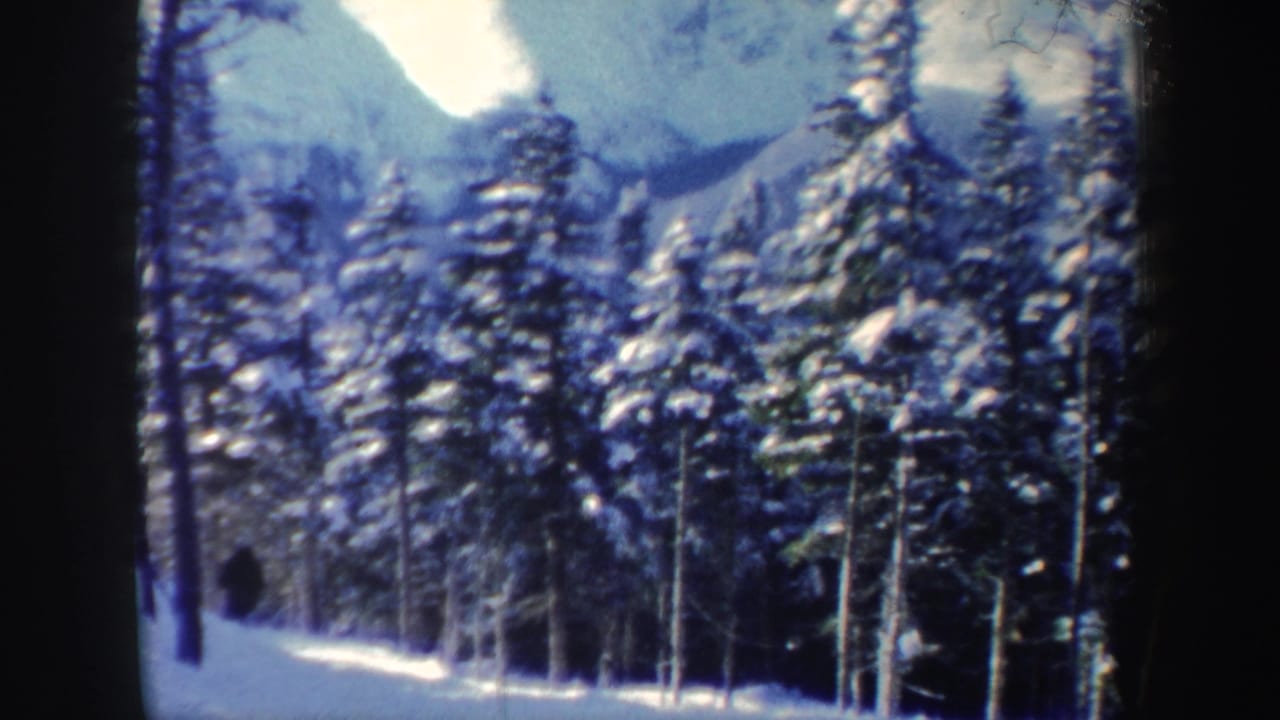 1962 New Hampshire 8mm frame showing snowy evergreens in front of a hazy mountain backdrop.