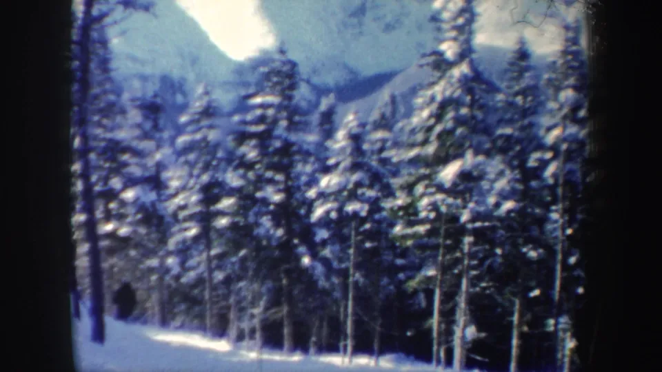 1962 New Hampshire 8mm frame showing snowy evergreens in front of a hazy mountain backdrop.