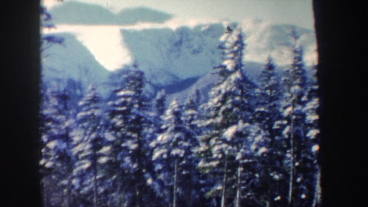 1962 New Hampshire winter landscape with snow-loaded trees and pale mountains beyond.