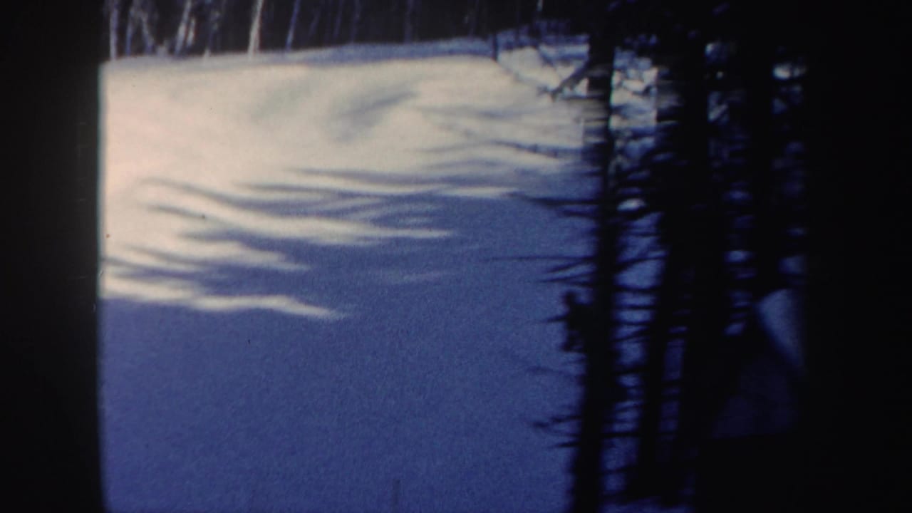 1962 New Hampshire 8mm view across an open snowfield with trees casting long shadows.