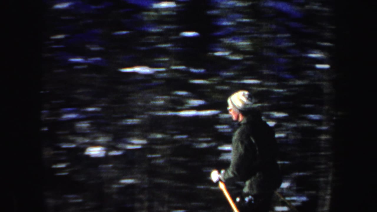 The skier appears in side view wearing a striped knit hat and dark coat, moving along the edge of a snowy wooded area in New Hampshire.